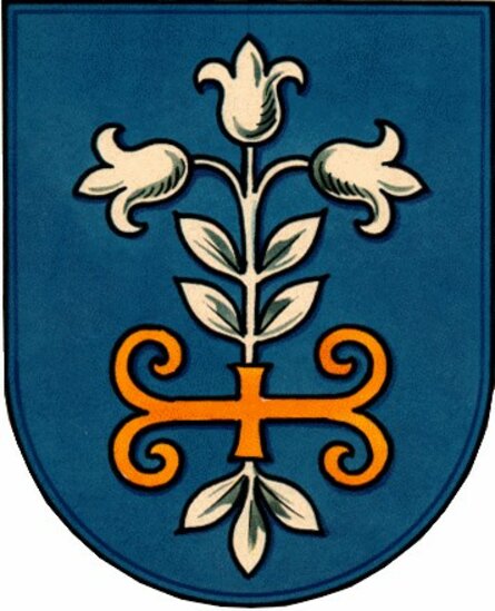 Wappen SV Höckelheim